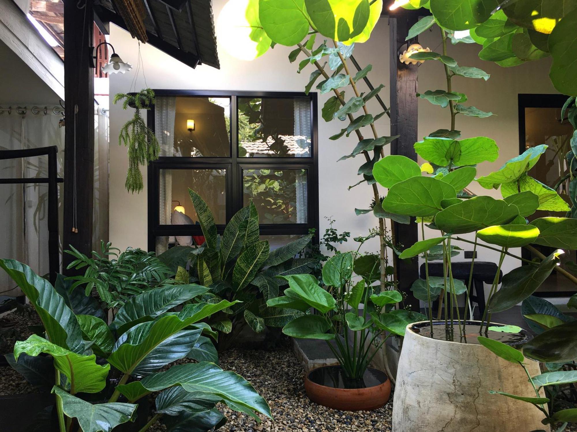 Su Kho Rom Always Home ศุโขรมย์ - Adults Only Чіангмай Екстер'єр фото
